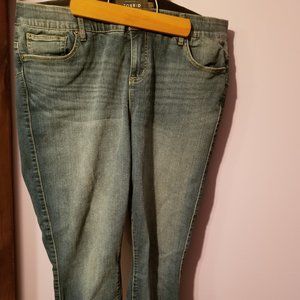 Torrid Jeans